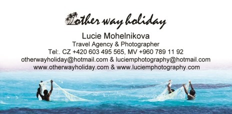 logo_wayholiday