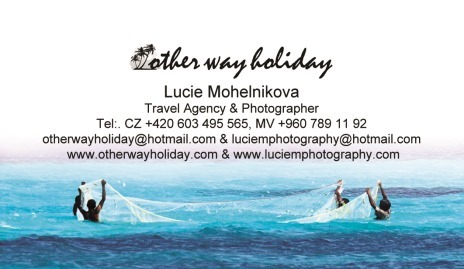 logo_wayholiday