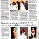 denik201212_med_hr